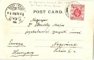 1907 Osztrák-magyar csatahajó tisztikara Dr. Borbély Dezső hajóorvossal. Dr. Borbély Dezső levele / ...