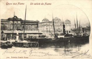 Fiume, port with ships. Federico Cretich (EB)