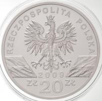 Lengyelország 2009. 20Zl Ag "Zöld Gyík" T:PP
Poland 2009. 20 Zlotych Ag "Green Lizar...