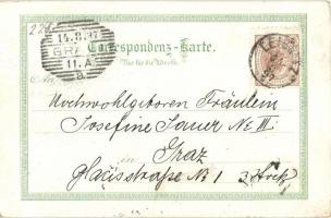 1897 (Vorläufer!) Leibnitz, Fürstbishöfl Schloss Seggau, Wahlfahrtsort Frauenberg / castle, church. ...