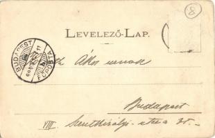 1899 Komárom, Komárno; Fő tér és Nádor utca, Mészáros András és Fektor György üzlete / square, stree...