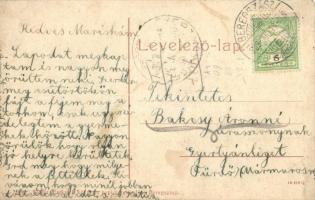 Beregszász, Berehovo; Dr. Klein Jenő háza, Bereg megyei gazdasági bank rt., gyógyszertár, Fodor Albe...