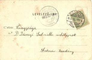 Szarvas, Árpád szálloda. Kiadja Sámuel Adolf (apró szakadás / tiny tear)