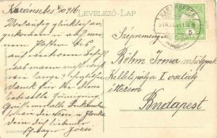 Karánsebes, Caransebes; Fő tér, Gyógytár gyógyszertár, Halász Nándor és Pataky Árpád üzlete. Kiadja ...