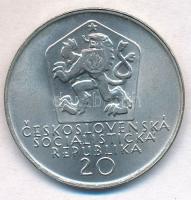 Csehszlovákia 1972. 20K Ag "Andrej Sladkovic" T:1-
Czechoslovakia 1972. 20 Korun Ag "...