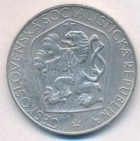 Csehszlovákia 1965. 25K Ag "Felszabadulás 20. évfordulója" T:2 
Czechoslovakia 1965. 25 K...