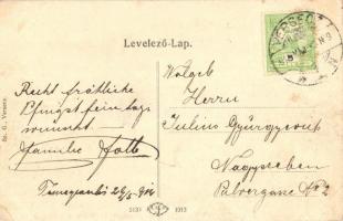 Versec, Vrsac; Szőlőhegyek és várrom, Sanitas gyógyintézet / vineyard, castle ruin, spa sanatorium (...