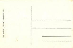 Csobánc, Szőlőültetvény; kiadja Lőwy B