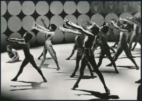 Balettjelenetek, 7 db vintage fotó, 8x5,5 cm és 23x17 cm között