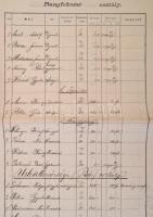 1888 A Magyar Nyugoti Vasút központi személyzetének létszáma 1888 évi november hóban. Nevekkel, beos...