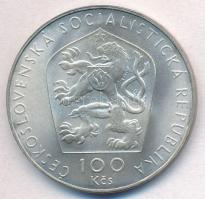 Csehszlovákia 1976. 100K Ag "Viktor Kaplan születésének 100. évfordulója" T:1- 
Czechoslo...
