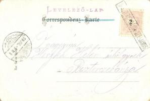 1899 October. Grape harvest art postcard. Th. Wendisch 472. Art Nouveau, litho s: Z.C. (?)