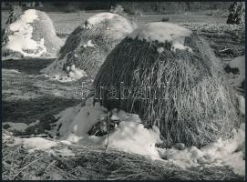 cca 1965 Dezső Pál (?-?) kecskeméti fotóművész 2 db vintage alkotása, az egyik feliratozott, 23,5x10 cm és 23x17 cm