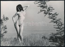 cca 1970 Szabadtéri aktfotózás, 3 db szolidan erotikus, vintage fénykép, 17,5x24 cm és 14x23 cm közö...