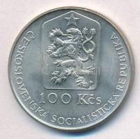 Csehszlovákia 1990. 100K Ag "Jan Kupecky halálának 250. évfordulója" T:1- 
Czechoslovakia...