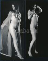 cca 1967 Mindent le kell venni? Szolidan erotikus, vintage felvételek, 5 db fotó, 17x7 cm / 5 erotic...