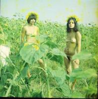 cca 1979 Fantáziaserkentők, szolidan erotikus, vintage felvételek, 6 db színes negatív és diapozitív...