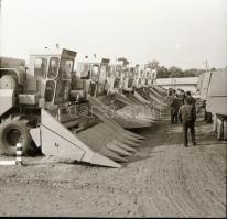 cca 1965 Sinka Antal (?-?) hagyatékából (aki a velencei AGROKOMPLEX fotósa volt az 1960-as, 1970-es ...