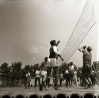cca 1965 Sinka Antal (?-?) hagyatékából (aki a velencei AGROKOMPLEX fotósa volt az 1960-as, 1970-es ...