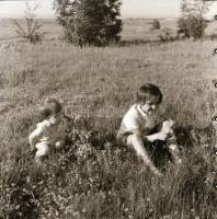 cca 1965 Sinka Antal (?-?) hagyatékából (aki a velencei AGROKOMPLEX fotósa volt az 1960-as, 1970-es ...