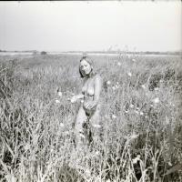 1979 Pákozd, 13 db vintage negatív, ebből néhány szolidan erotikus felvétel, negatív tasakon felirat...