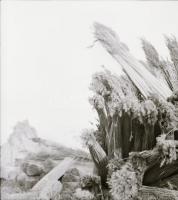 1979 Pákozd, 13 db vintage negatív, ebből néhány szolidan erotikus felvétel, negatív tasakon felirat...