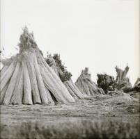 1979 Pákozd, 13 db vintage negatív, ebből néhány szolidan erotikus felvétel, negatív tasakon felirat...