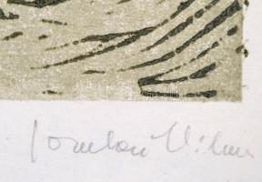 Somlai Vilma (1938-2007): Mályva, színes linó, papír, jelzett, számozott (79/100), 42×27 cm