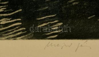 Major János (1934-2008): Japánkert a Margitszigeten, rézkarc, papír, jelzett, üvegezett fa keretben,...