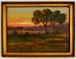 Baky Albert (1868-1944): Fák a naplementében, olaj, fa, keretben, 27,5×36,5 cm