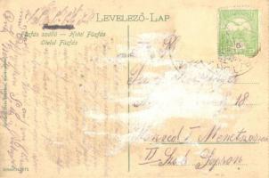 Karánsebes, Caransebes; Fűzfás szálló lovaskocsival / hotel with horse cart (ragasztónyom / gluemark...