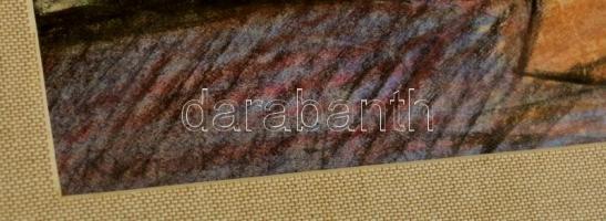 Krajcsirovits Henrik (1929-2007): Utcarészlet, pasztell, papír, jelzett, paszpartuban, üvegezett fa ...