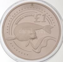 Ciprus 2005. 1Ł Ag "Mediterrán barátfóka" T:PP
Cyprus 2005. 1 Pound Ag "Mediterranea...
