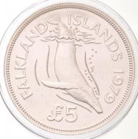 Falkland-szigetek 1979. 5Ł Ag "Hosszúszárnyú bálna" T:1(PP)
Falkland Islands 1979. 5 Poun...