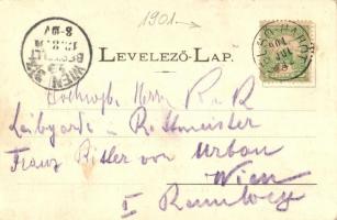 1901 Zalaegerszeg, Takarékpénztár, Arany Bárány szálloda és utcasor, Schütz Sándor és fia áruháza. B...