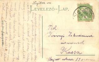 Pöstyén-fürdő, Bad Pistyán, Piestany; Ferencz-Villa fürdőkocsijai / Badwägen / infanterists, spa car...