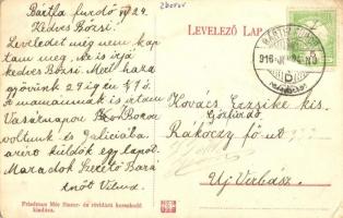 Zboró, Zborov; Rákóczi-féle vártemplom / castle church  (EK)