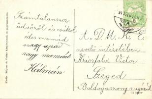 Zólyom, Zvolen; utcakép, vár, Strausz szálloda / street view with castle, hotel