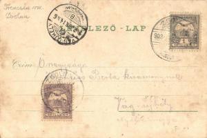 Zsolna, Zilina; Budatini vár, híd. Löwy Fülöp kiadása / castle, bridge (EK)