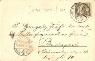 Nagykanizsa, utcakép kutyával, Városi közkórház, montázslap katonákkal / montage postcard with soldi...