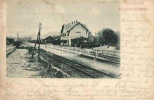 1901 Piliscsaba, vasútállomás. Divald Károly 345. (EK)
