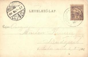 1901 Piliscsaba, vasútállomás. Divald Károly 345. (EK)