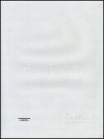 cca 1986 Menesdorfer Lajos (1941-2005) budapesti fotóművész hagyatékából pecséttel jelzett, vintage ...