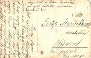 Budapest XV. Rákospalota, Magy. kir. állami leányjavító intézet (fa)