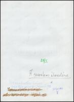 cca 1988 Menesdorfer Lajos (1941-2005) budapesti fotóművész hagyatékából 2 db feliratozott vintage f...