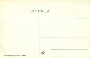 Balassagyarmat, Vármegyeháza "Nógrád a Közügyért"