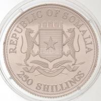 Szomália 1997. 250Sh Ag "Kyotoi Globális Csúcstalálkozó" multicolor T:PP
Somalia 1997. 25...