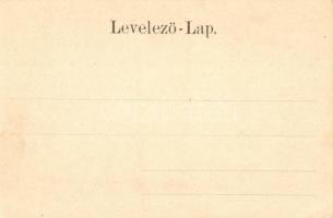 Eger, Széchenyi utca, iskola. Art Nouveau, floral (EK)