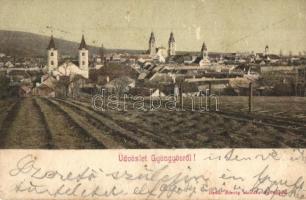 Gyöngyös, látkép a szántóföldek felől, templomok. Bendl Károly kiadása (felszíni sérülés / surface damage)