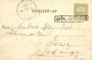 Gyöngyös, látkép a szántóföldek felől, templomok. Bendl Károly kiadása (felszíni sérülés / surface d...